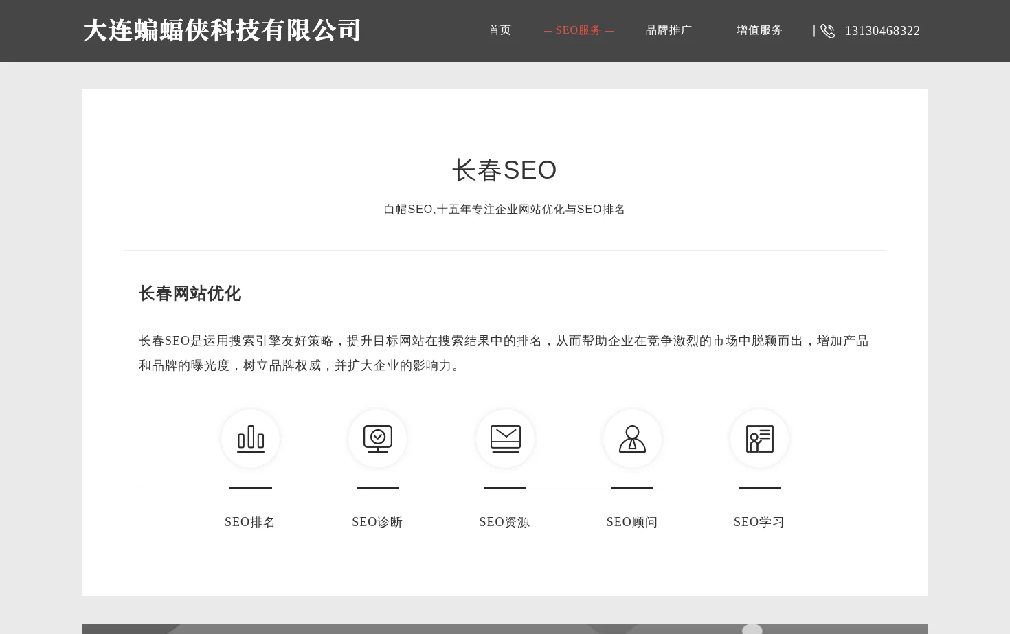 长春SEO 页面快照